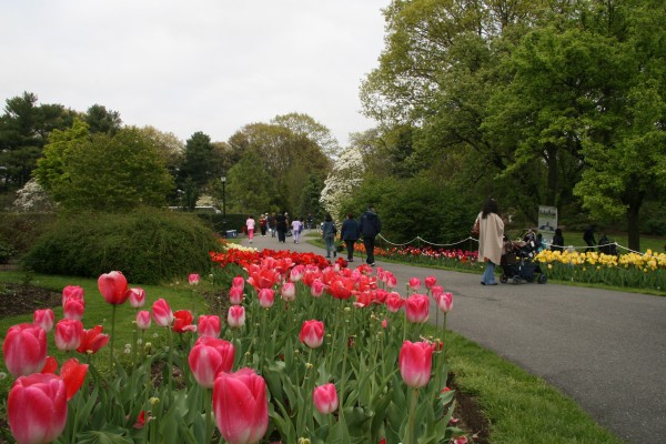 Town Of North Hempstead Clark Botanic Garden